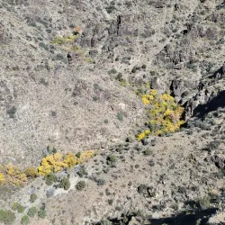 Cibola National Forest - Edgewood