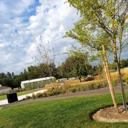 Edgewood Community Park - Edgewood