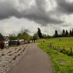 Edgewood Community Park - Edgewood