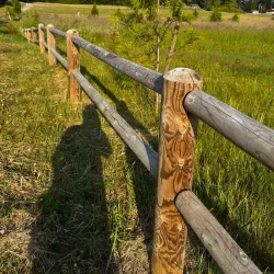 Edgewood Community Park - Edgewood