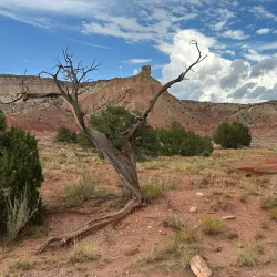 Ghost Ranch - Edgewood