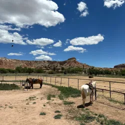 Ghost Ranch - Edgewood