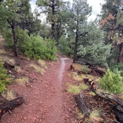 Sandia Mountains - Edgewood