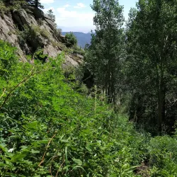 Sandia Mountains - Edgewood