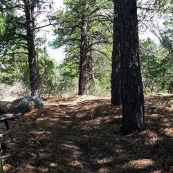 Sandia Mountains - Edgewood