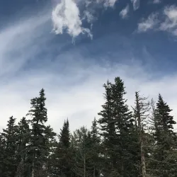 Sandia Mountains - Edgewood