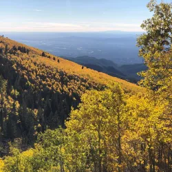 Santa Fe National Forest - Edgewood