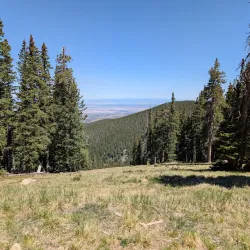 Santa Fe National Forest - Edgewood