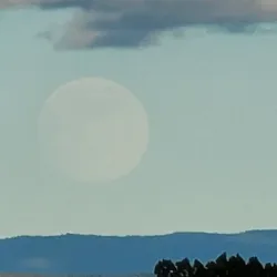 Turquoise Trail National Scenic Byway - Edgewood