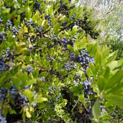 Animas River Trail - Farmington