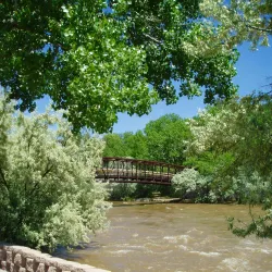 Berg Park - Farmington