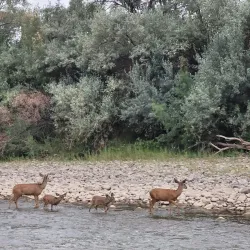 Berg Park - Farmington