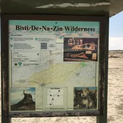 Bisti/De-Na-Zin Wilderness - Farmington