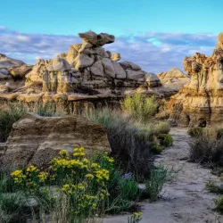 Bisti/De-Na-Zin Wilderness - Farmington