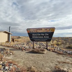 Bisti/De-Na-Zin Wilderness - Farmington