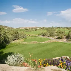 Farmington Golf Club - Farmington