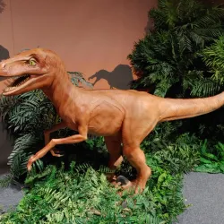 Farmington Museum and Visitor Center - Farmington