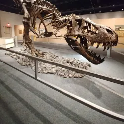 San Juan County Historical Society Museum - Farmington