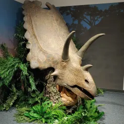 San Juan County Historical Society Museum - Farmington