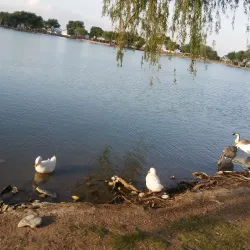 Jim Gray Park - Hobbs