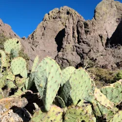 Dripping Springs Natural Area - Las Cruces