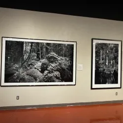 Las Cruces Museum of Art - Las Cruces