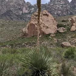 Organ Mountains-Desert Peaks National Monument - Las Cruces