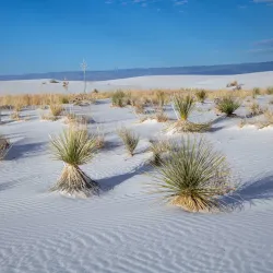 White Sands National Park (nearby) - Las Cruces