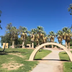 Young Park - Las Cruces