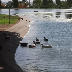 Young Park - Las Cruces