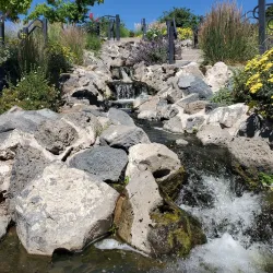 Ashley Pond Park - Los Alamos