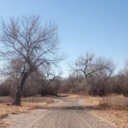 Riverside Park - Los Alamos