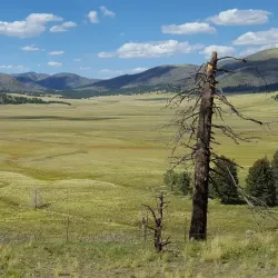 Valles Caldera National Preserve - Los Alamos
