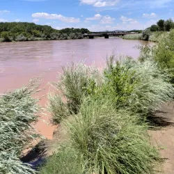 Paseo del Bosque Trail - Rio Rancho