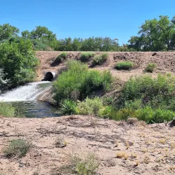 Paseo del Bosque Trail - Rio Rancho