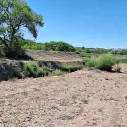 Paseo del Bosque Trail - Rio Rancho