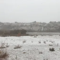 Paseo del Bosque Trail - Rio Rancho