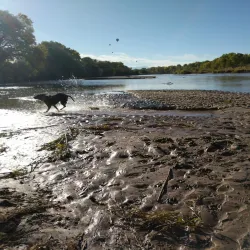 Paseo del Bosque Trail - Rio Rancho