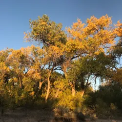 Paseo del Bosque Trail - Rio Rancho