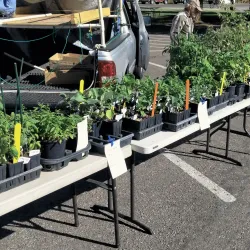 Rio Rancho Farmers Market - Rio Rancho