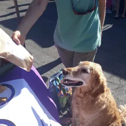 Rio Rancho Farmers Market - Rio Rancho