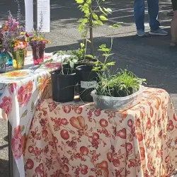 Rio Rancho Farmers Market - Rio Rancho