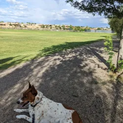 Rio Rancho Sports Complex - Rio Rancho