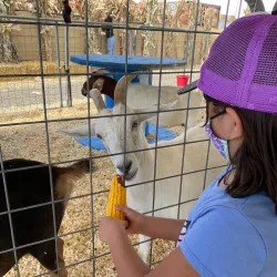 Santa Ana Star Center - Rio Rancho