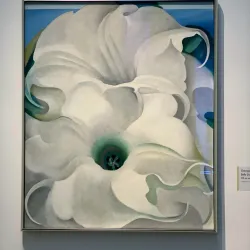 Georgia O'Keeffe Museum - Santa Fe