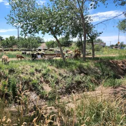 Santa Fe Railyard Park - Santa Fe