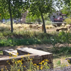 Santa Fe Railyard Park - Santa Fe