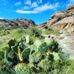 Hueco Tanks State Park & Historic Site - Santa Teresa