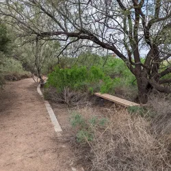 Rio Bosque Wetlands Park - Santa Teresa