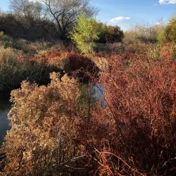 Rio Bosque Wetlands Park - Santa Teresa